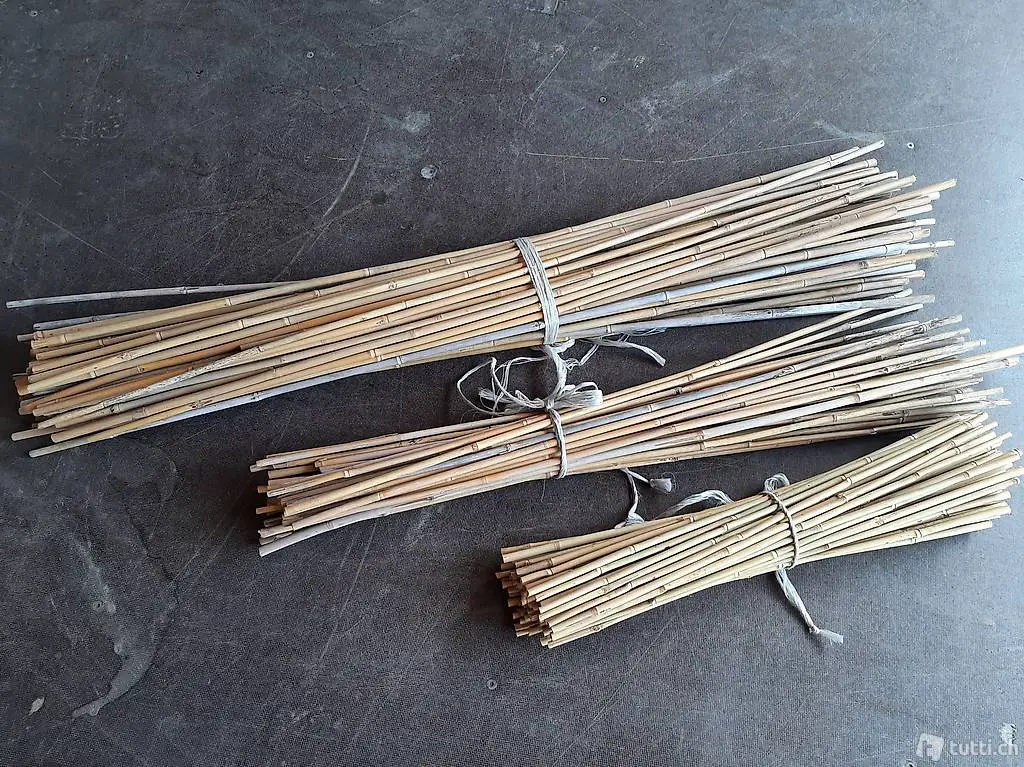 Bambus Tonkinstäbe Bambusstäbe Stecken Baumschulstäbe