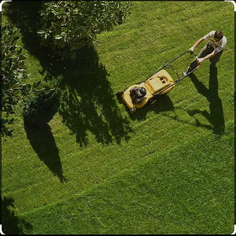 Garten rasen und Vertikutieren