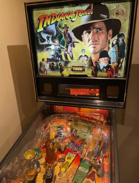 Flipper Indiana Jones stern