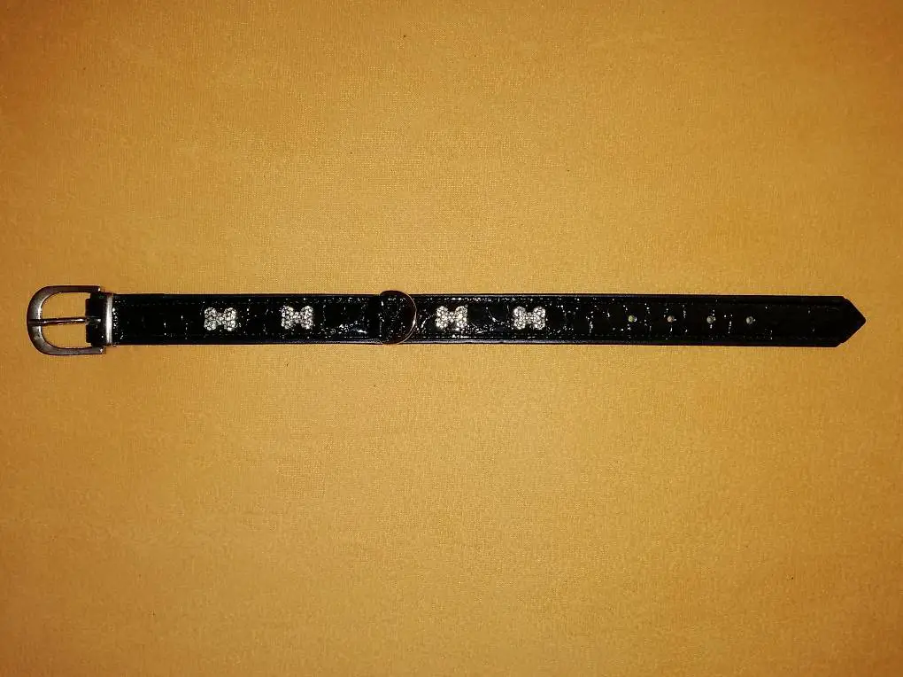 Hundehalsband schwarz