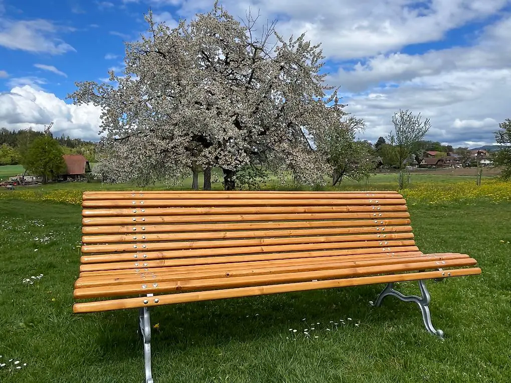 Gartenbank Massiv Restauriert