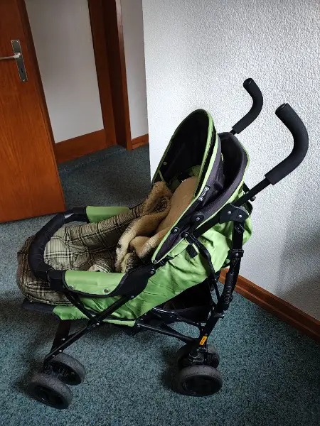 Baby Plus Buggy