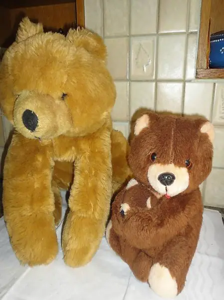  Bär, Bären, Bärenfamilie