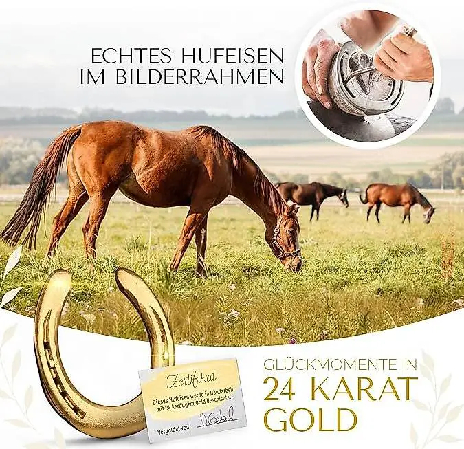 Hufeisen im Bilderrahmen 27x27 cm, Vergoldet