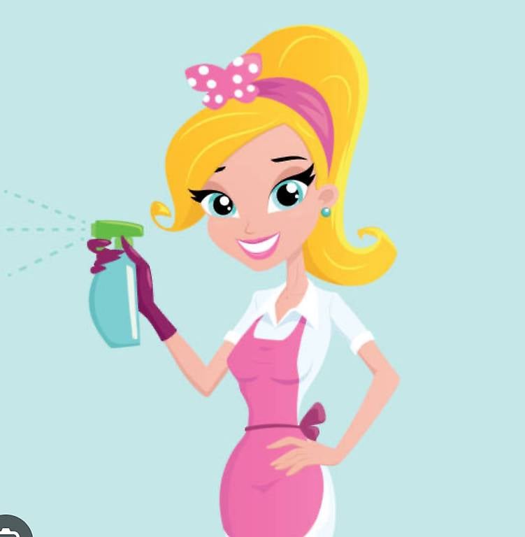 Offro lavori di pulizie