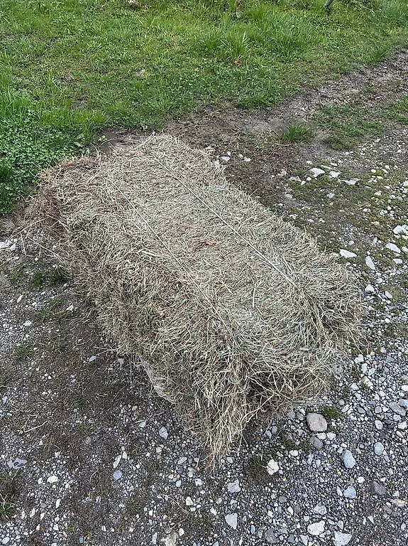 Vendo ballette di fieno