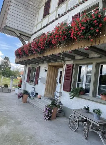 Pferdepension vermietet freie Pferdebox in Worben BE