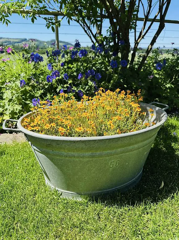 ALTE Gelte, Zuber, Wanne, Zinkwanne, Deko Garten | NEUWERTIG