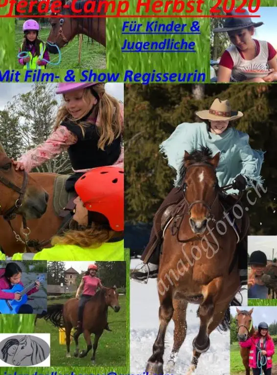 Reitferien mit Pferdefilm-Regisseurin auf Mont-Soleil, Berner-Jura