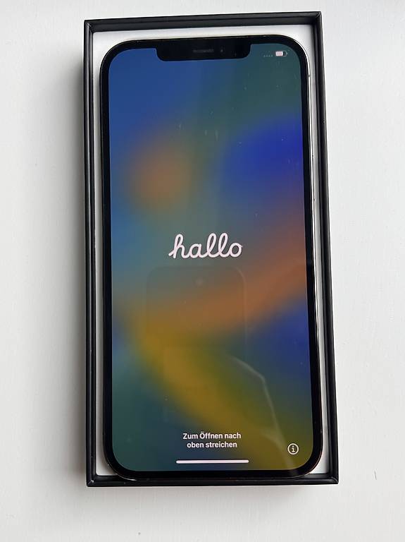 iPhone 12 Pro Max 256 GB