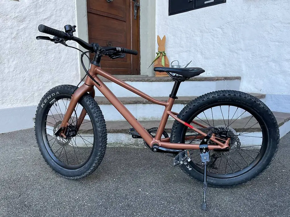 BMC Kindervelo Blast, braun, 20 Zoll, 8-Gang