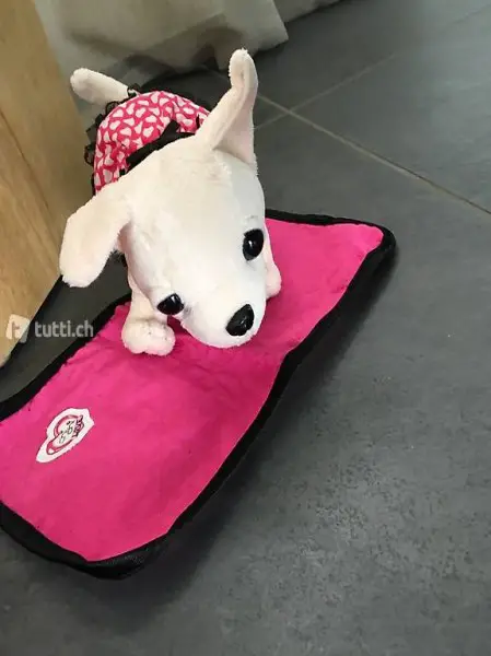 Hund im Körbchen Thinkerbell Paris