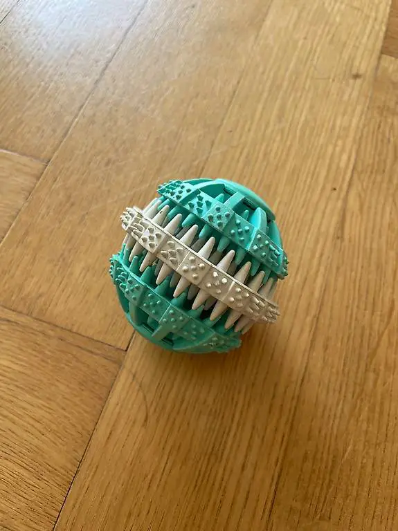 Hundeball Zahnpflege