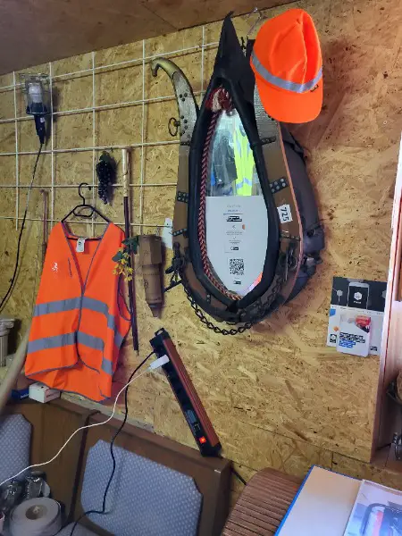 Spiegel im Pferde Komet