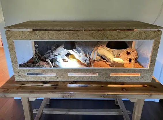 Ungebrauchtes Wüstenterrarium mit Einrichtung