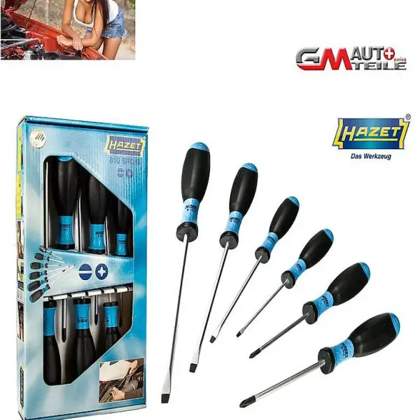  Hazet Schraubendreher Satz 6 Teilig 810SPC/6 Schraubenzieher