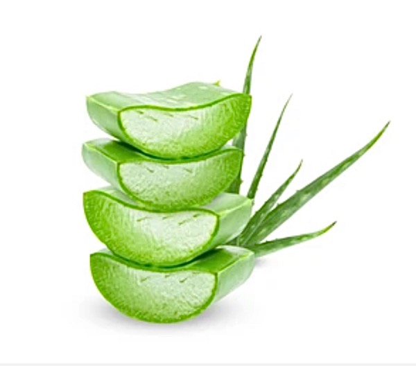 Reinste und exklusivste Aloe Vera Produkte