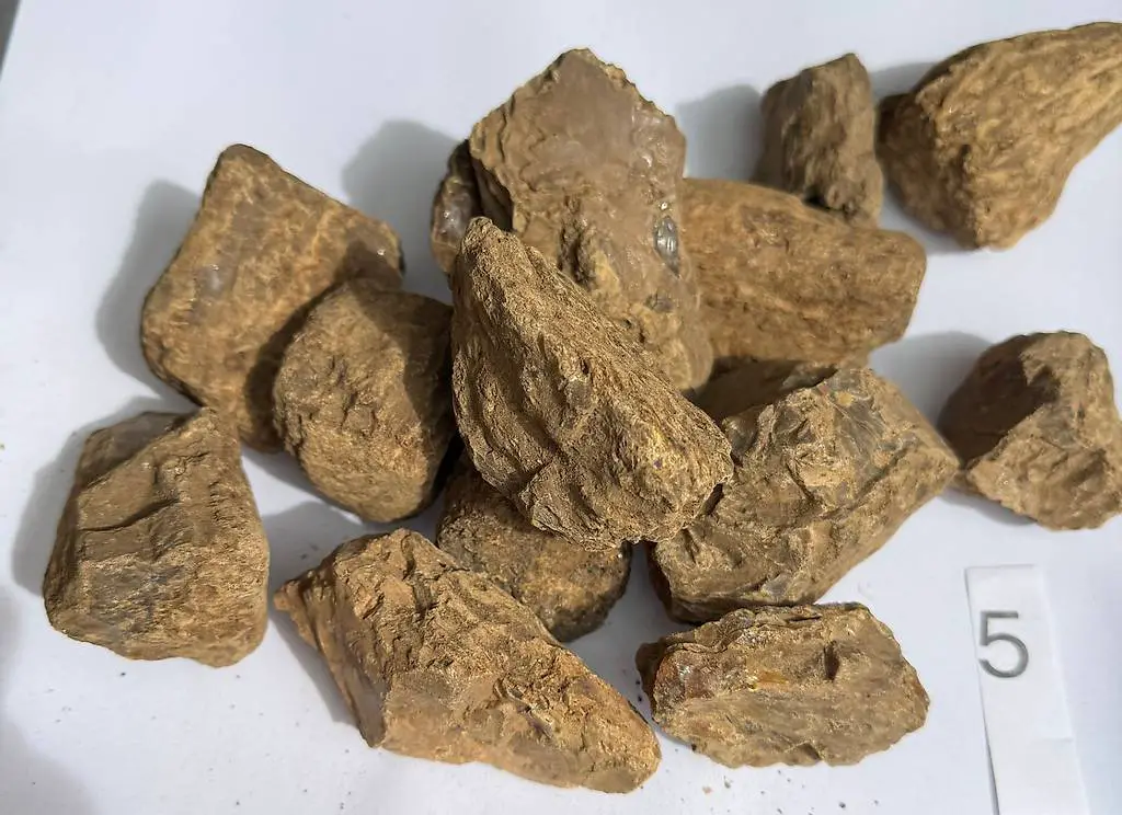 1 Kilo Bernstein echt - roh - unbehandelt top Angebot