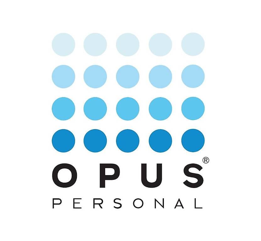 Falegname di Posa Bellinzona