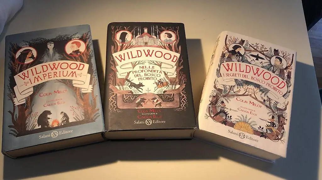 libri per ragazzi harry potter, wildwood, ossidea