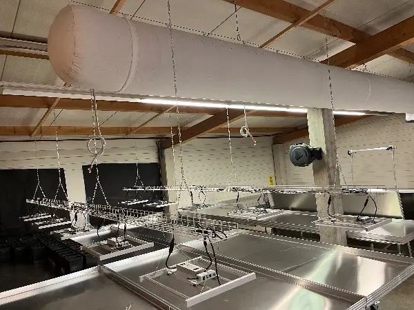 CBD Jungpflanzenzucht zu vermieten mit Inventar und Genetiken