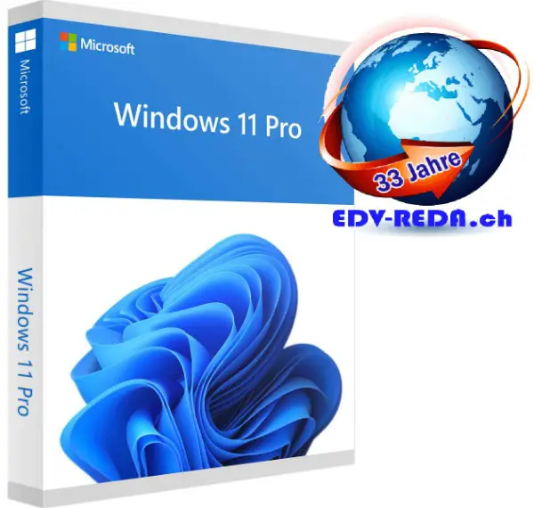Windows 11 Pro 64 bit