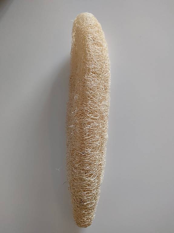 Umweltfreundliche Luffa-Schwamm aus Schwammkürbis