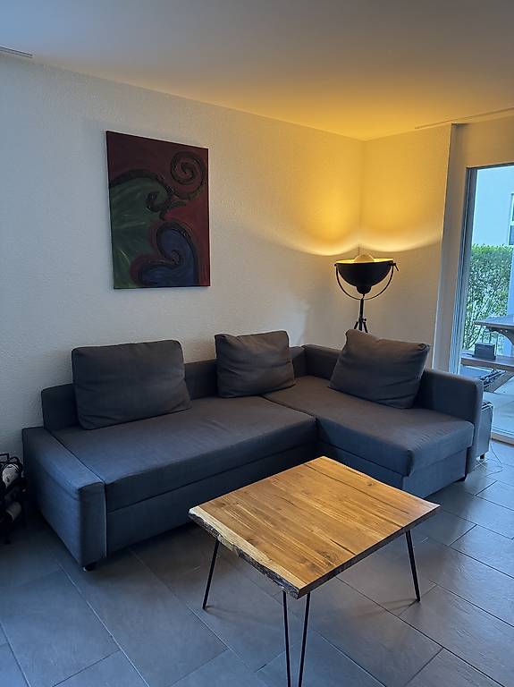 Couch ausziehbar inkl. Kissen