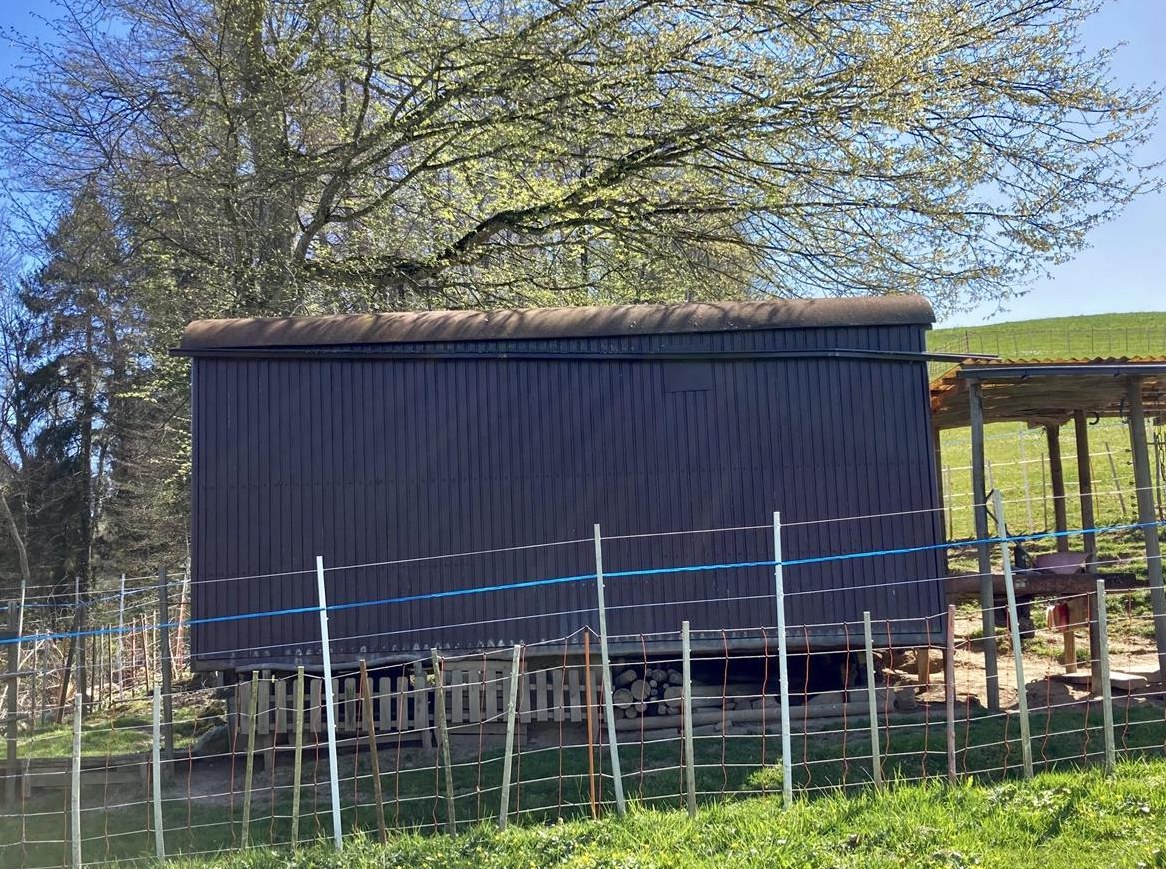 Baustellenwagen als Schaf-/Ziegenstall eingerichtet, ab Platz