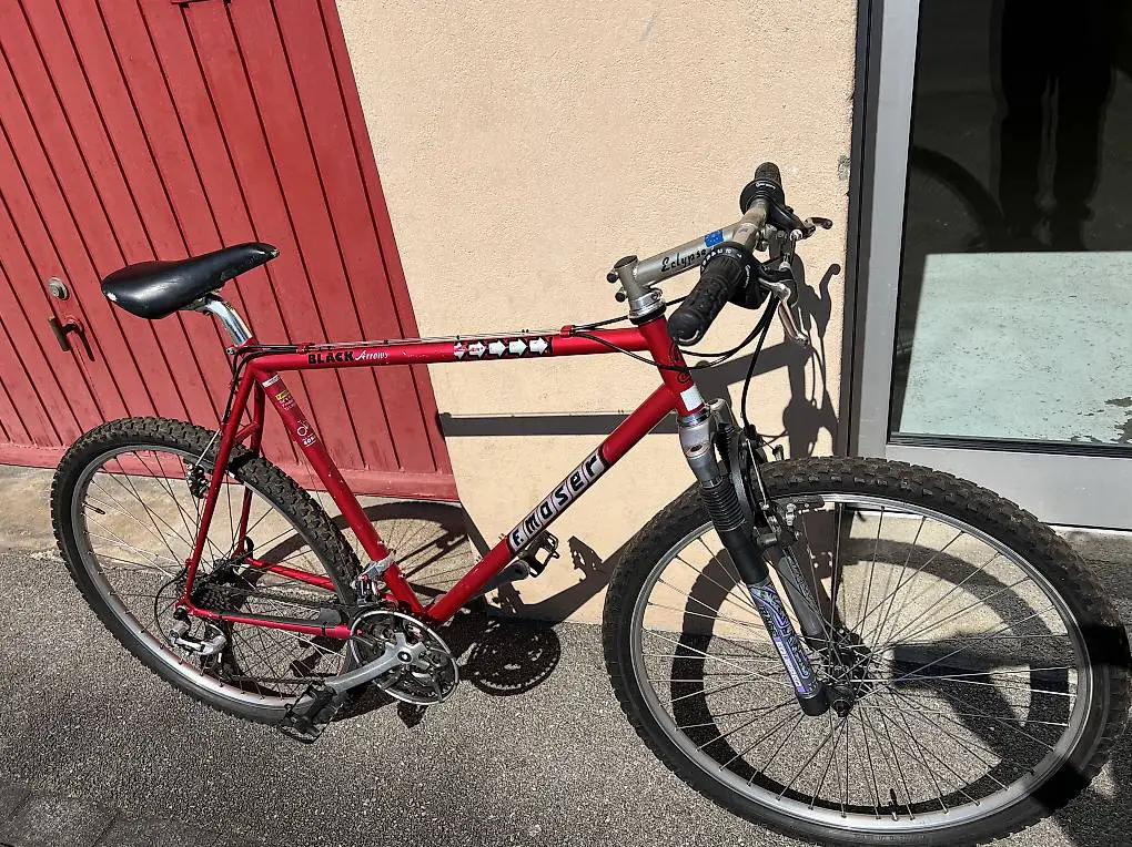 Occasion Mountainbike Francesco Moser