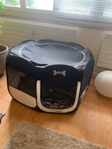 Div. Zubehör für Hunde