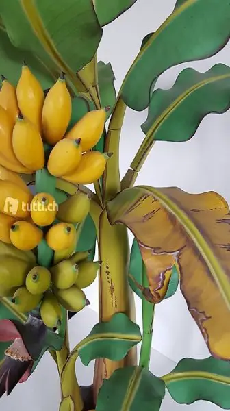 Bananenbaum aus Holz geschnitzt. Bali 150 cm