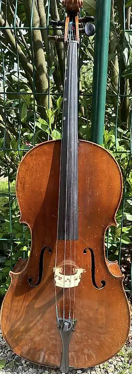 Cello