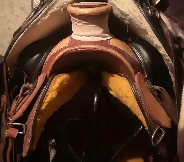 Wade Roughout Westernsattel