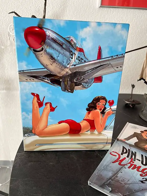 Pin up Bücher
