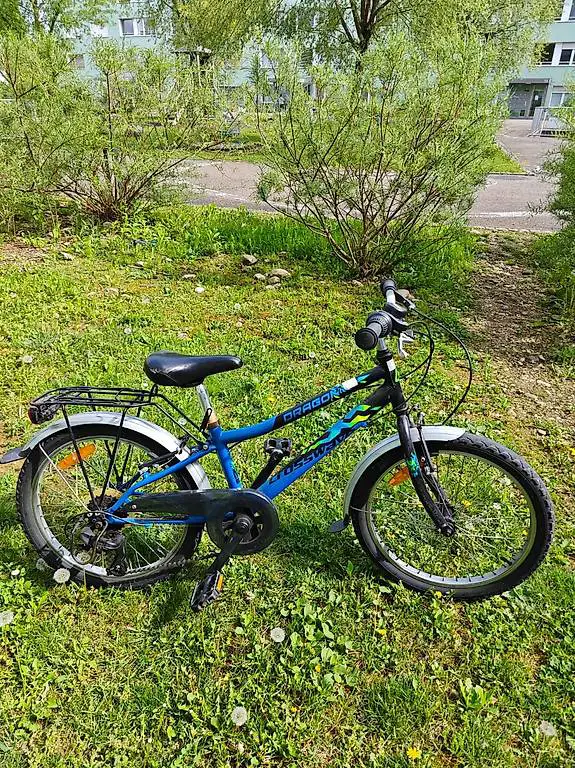 20 Zoll Kindervelo