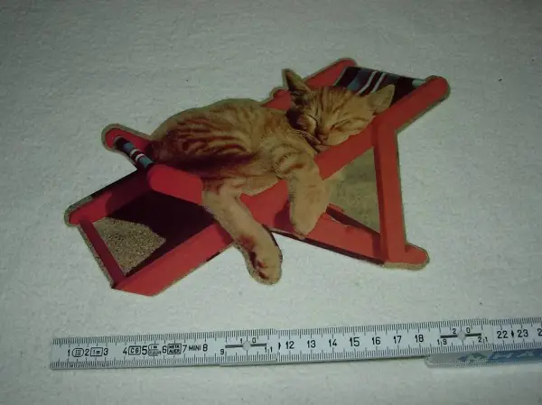  Ansichtskarte Katze in Liegestuhl