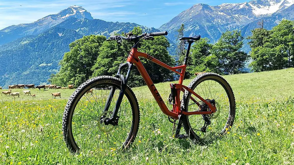 Cube Stereo ONE22 Pro XL