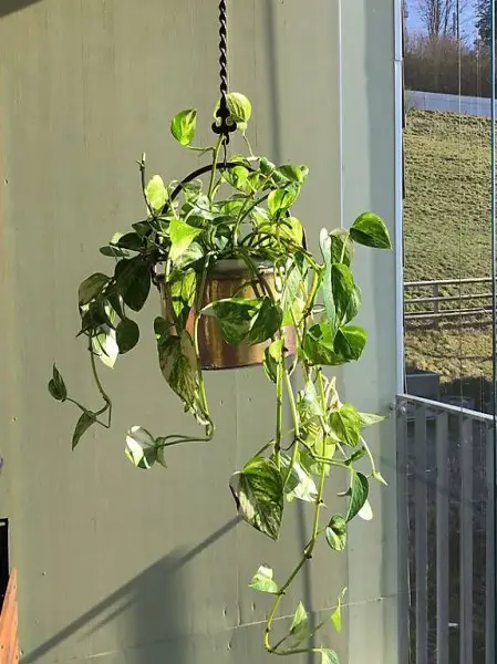 Antike geschmiedete Kette mit Kupferpfanne