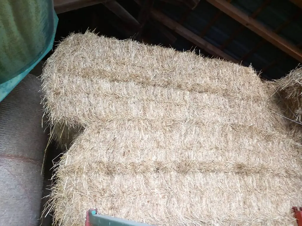 Quaderballen belüftet