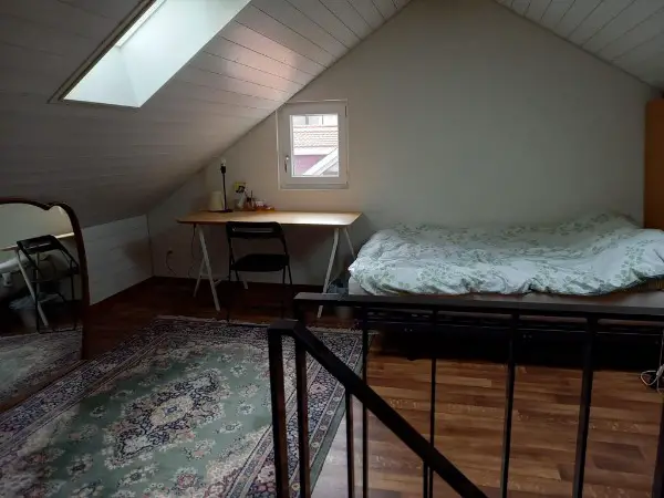 Chambre lumineuse à louer dans appartement en colocation