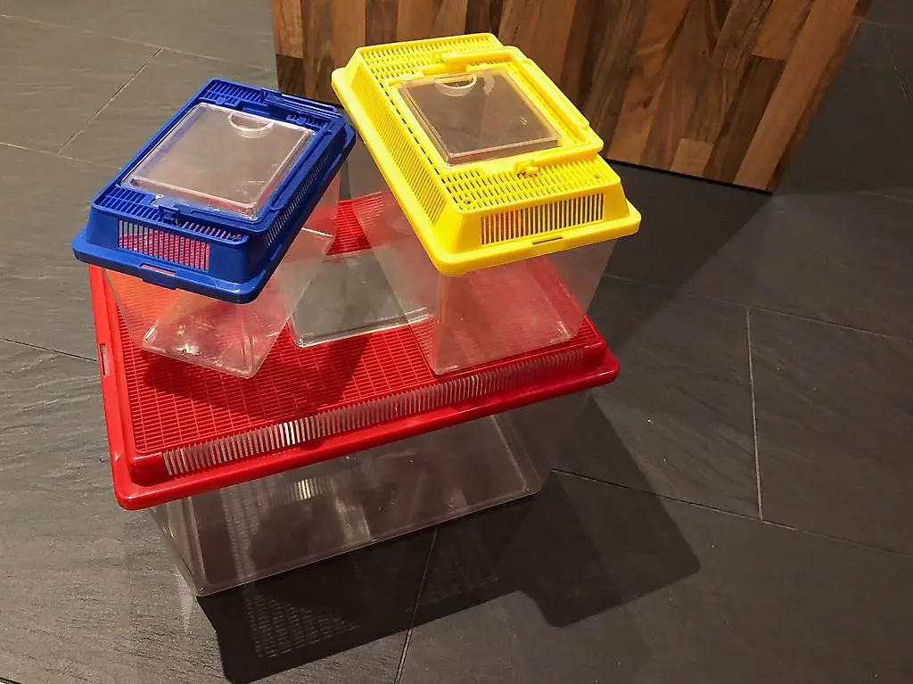 Transportboxen, Boxen für Kleintiere (Mäuse, Hamster)