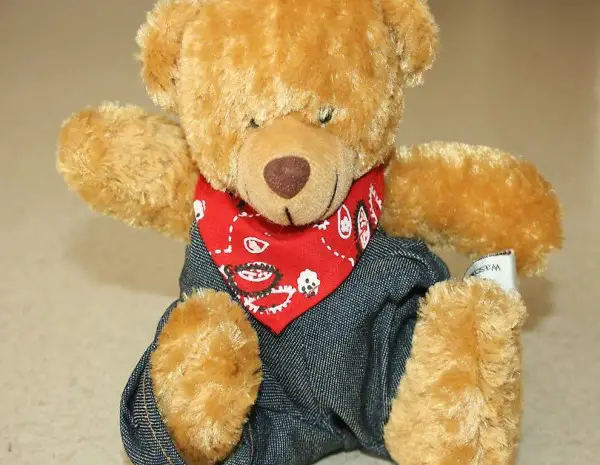 Teddybär Kuscheltier, neu & Saugnapf