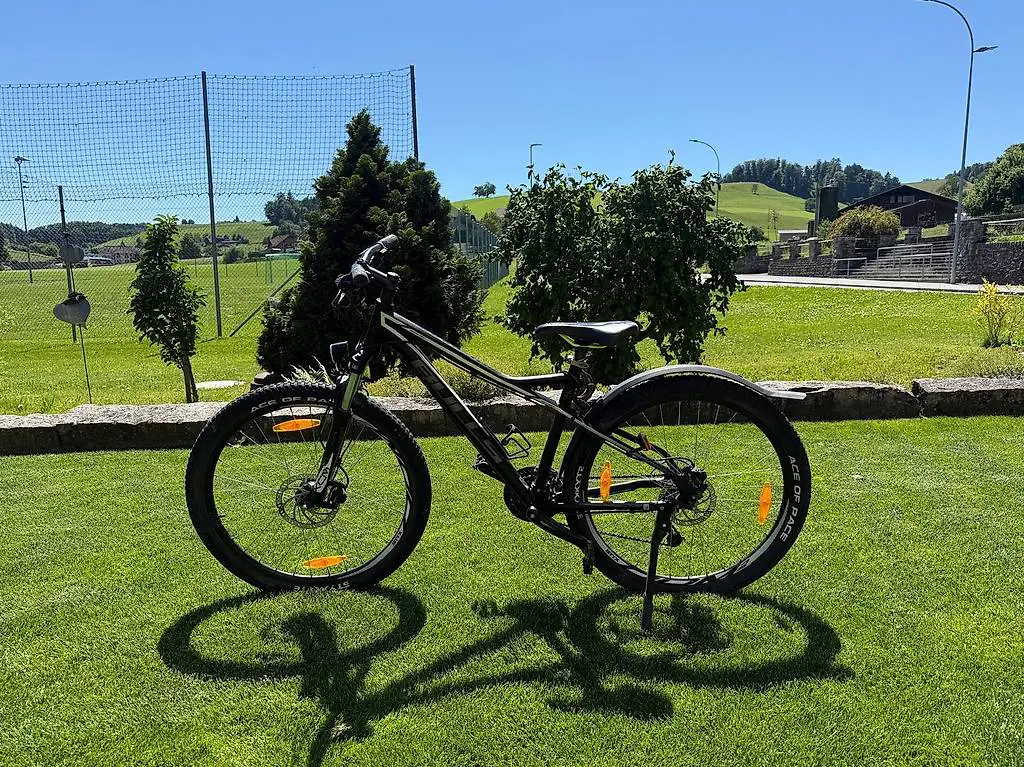 Bulls Mountainbike? Shimano Ausstattung? Frisch ab Service