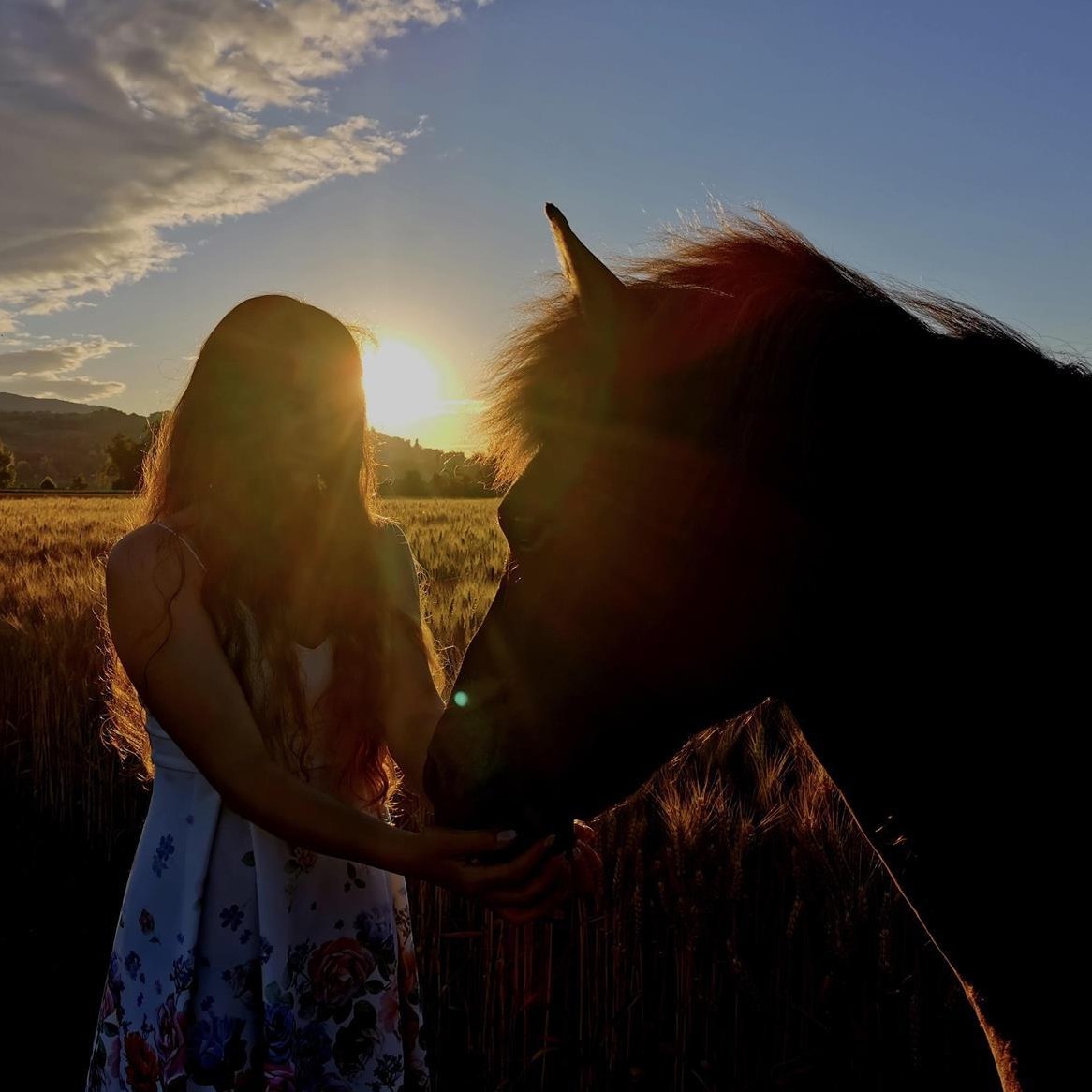 Kinderreitunterricht auf Islandponys