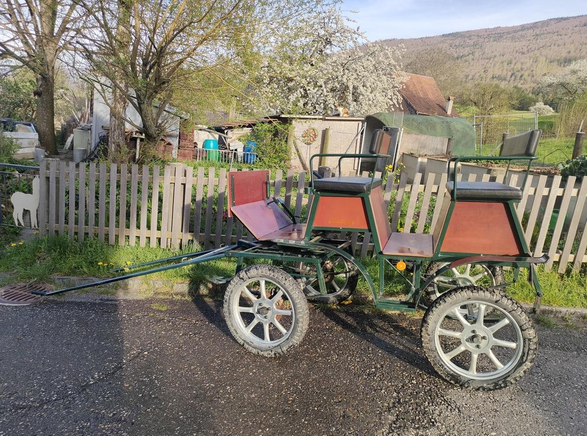 Kutsche 1- oder 2-spännig zu verkaufen