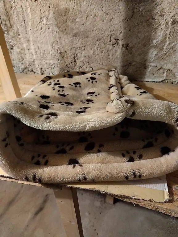 Katzenklo und Katzenhöhle