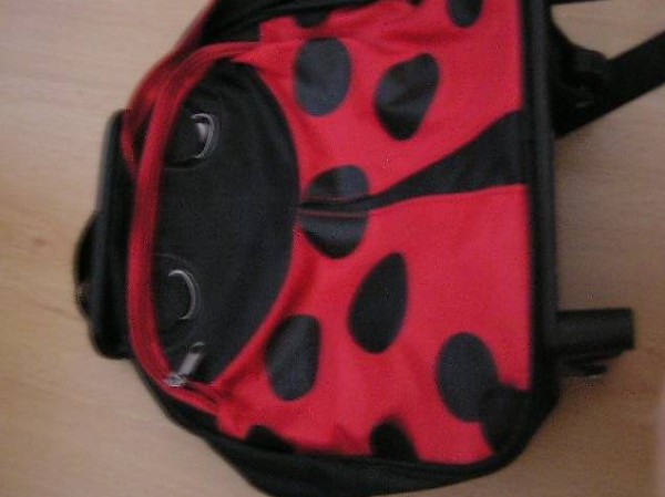 Koffer mit Rollen & Rucksack Marienkäfer rot und schwarz