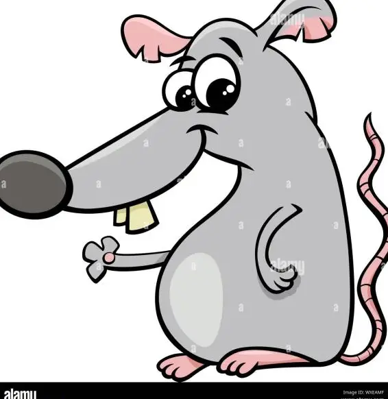 Kleintierbetreuung im Raum Wallisellen, Dübendorf, Opfikon & Winterthur