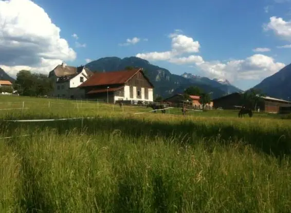 Pensionsplatz in grosszügigem Auslaufstall im Domleschg